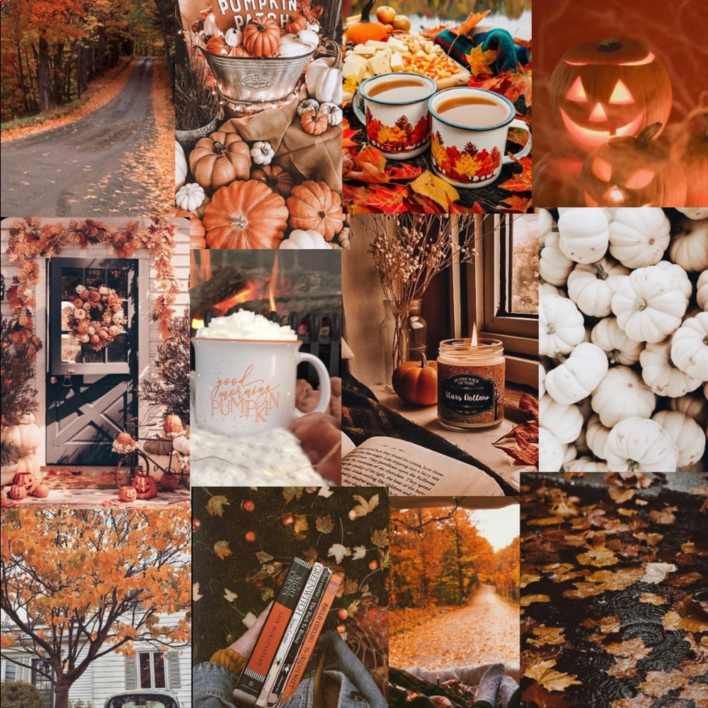 Fall pics